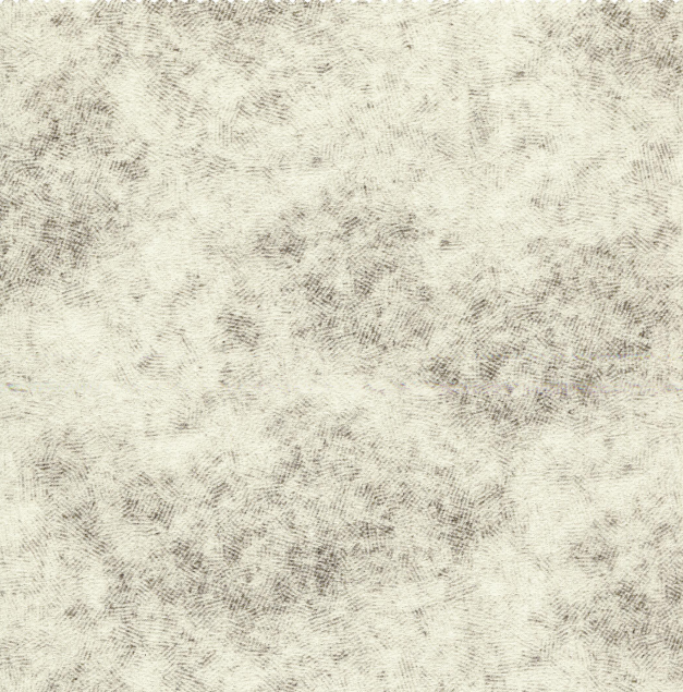 CALICO Curtains and Cushions