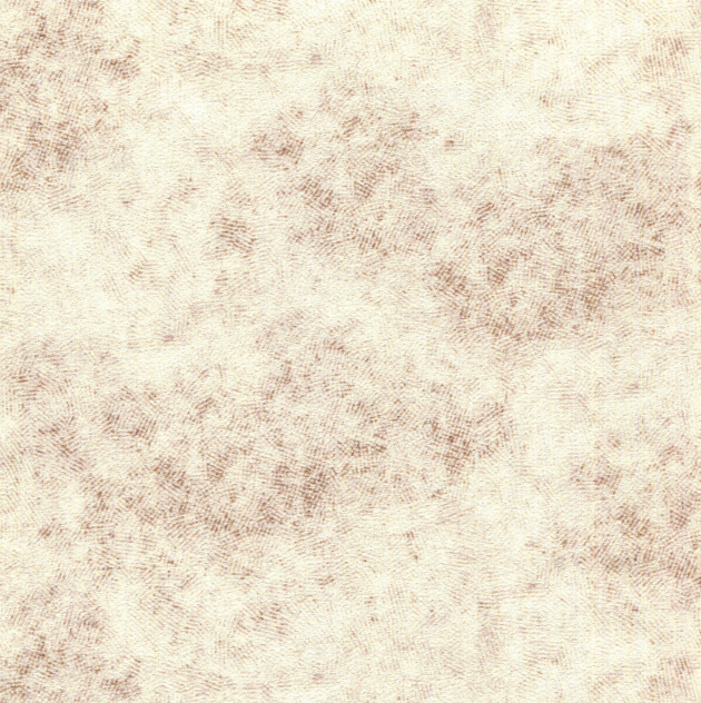 CALICO Curtains and Cushions