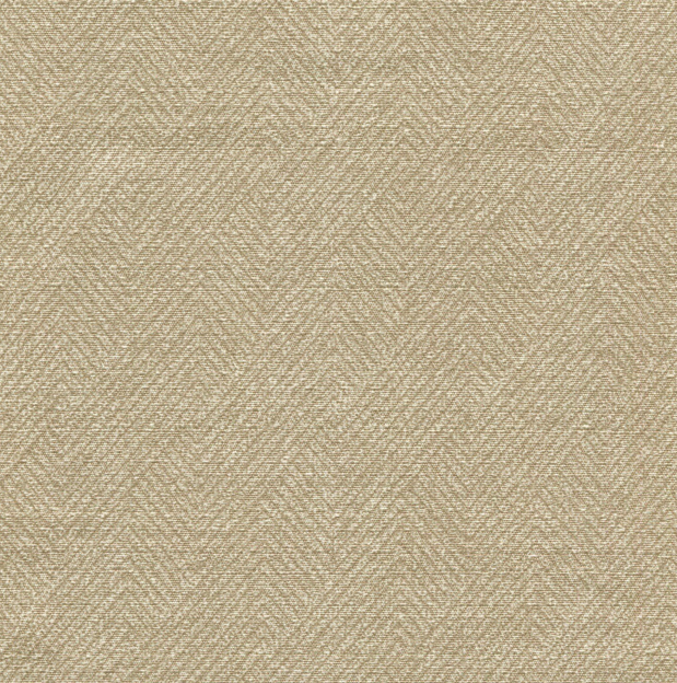 CALICO Curtains and Cushions