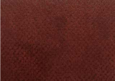 AMAZON Fabric by Sarom