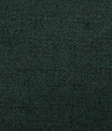 AMY AMERICAN VELVET Fabric by Sarom