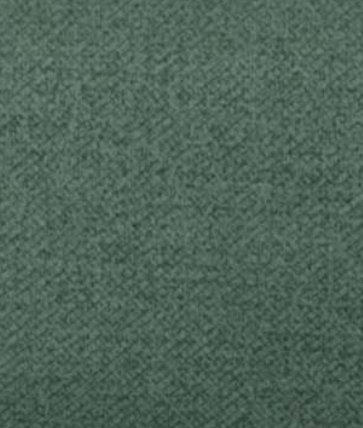 AMY AMERICAN VELVET Fabric by Sarom