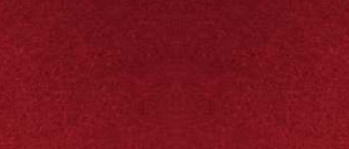 LISABEL FABRIC