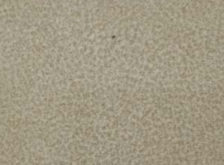 NOVEL FABRIC