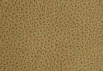 PARAMOUNT FABRIC