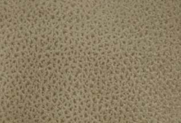 PARAMOUNT FABRIC