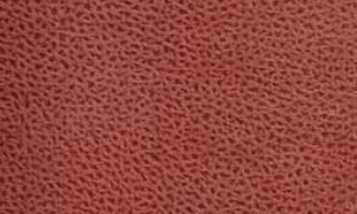 PARAMOUNT FABRIC