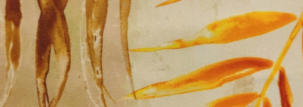 RIVIERA FABRIC