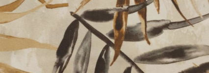 RIVIERA FABRIC