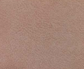 SAVANNAH AMERICAN VELVET FABRIC