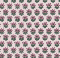 Sanskriti Wallpaper