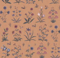 Sanskriti Wallpaper