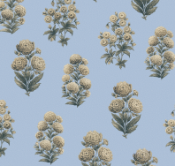 Sanskriti Wallpaper