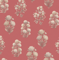 Sanskriti Wallpaper