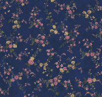 Sanskriti Wallpaper