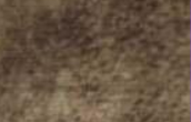 VERMOUNT FABRIC