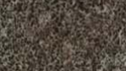 VERMOUNT FABRIC