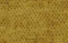 VERMOUNT FABRIC