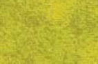 VERMOUNT FABRIC