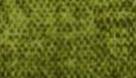 VERMOUNT FABRIC