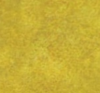 VIGO FABRIC