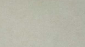 WINCHESTER FABRIC