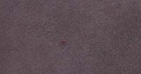 WINCHESTER FABRIC
