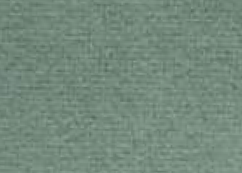 JAIPUR Collection – Premium Upholstery Fabrics by Sarom