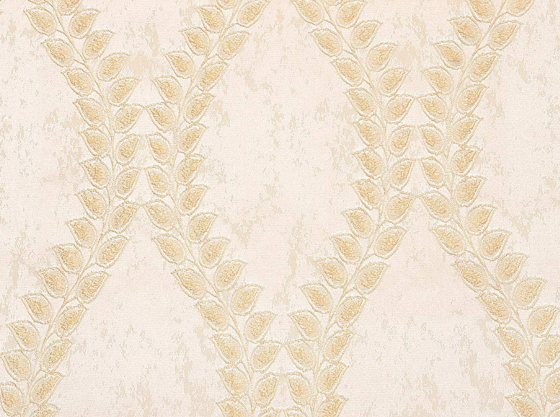 VANKY FABRIC