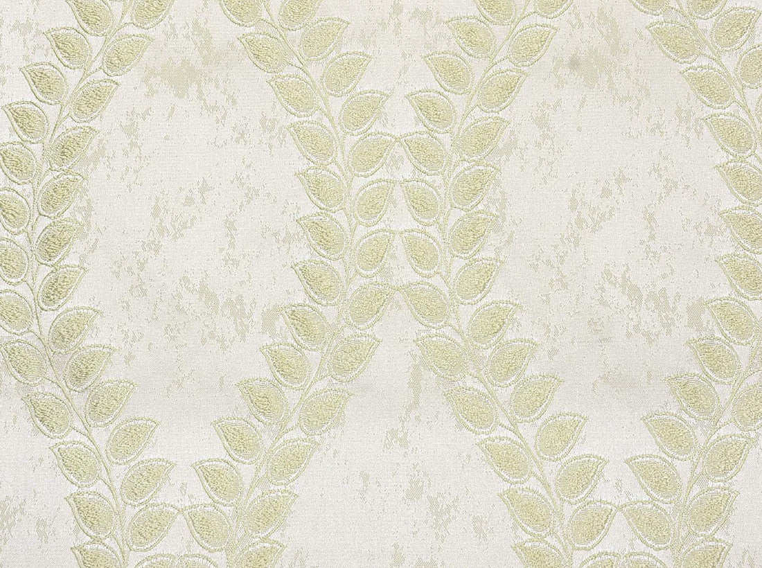 VANKY FABRIC